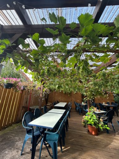 Holzofen und Biergarten